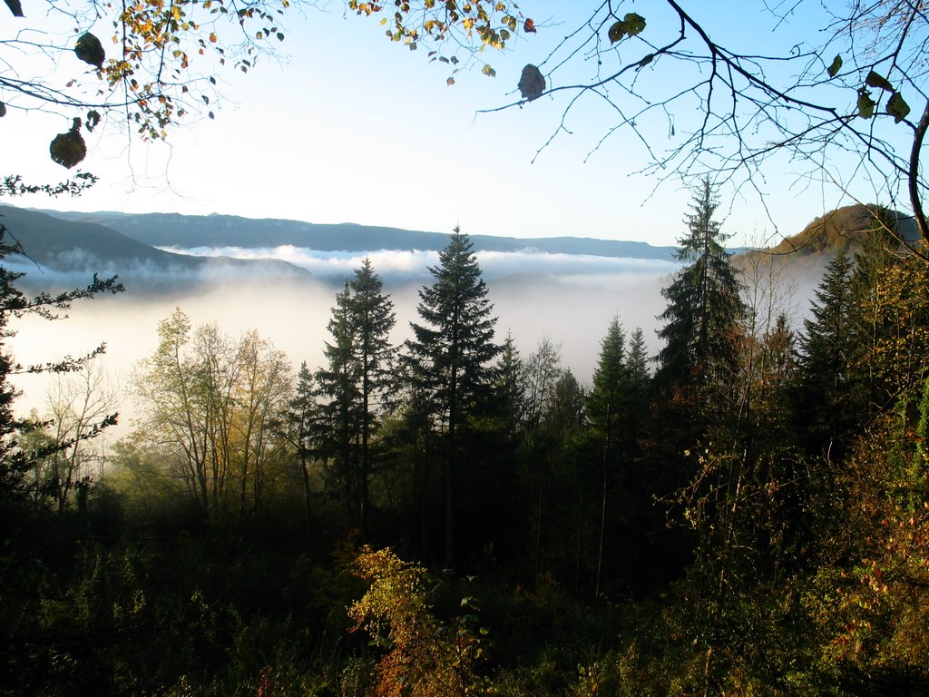 Oct 2011 Saint Claude Copier