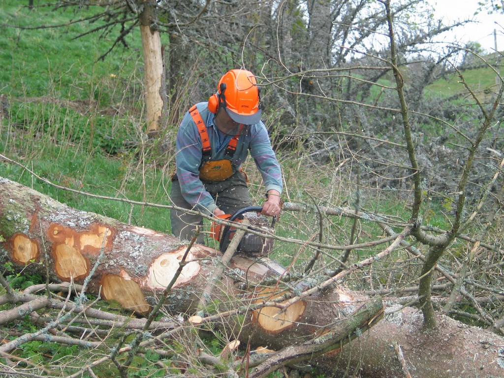 avril 2003 bucheron lajoux Copier