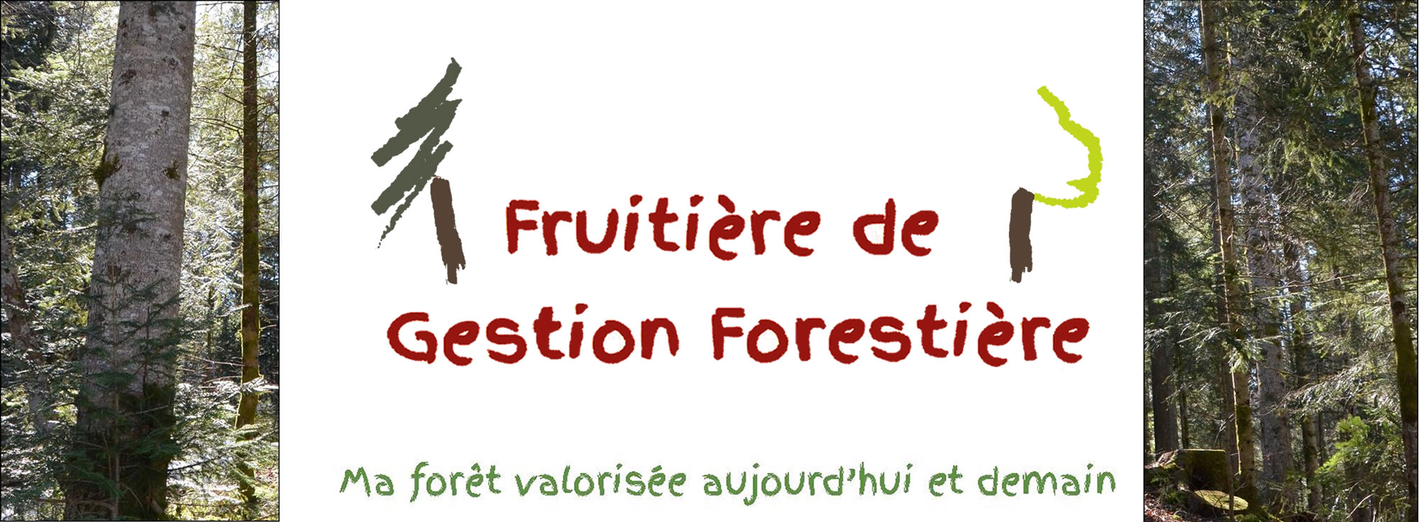 logo2